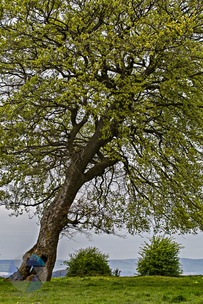 20170421-IMG_5959-Edit.jpg